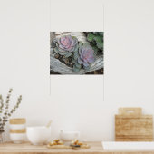 多肉食のエチェベリアのポスター ポスター (キッチン)