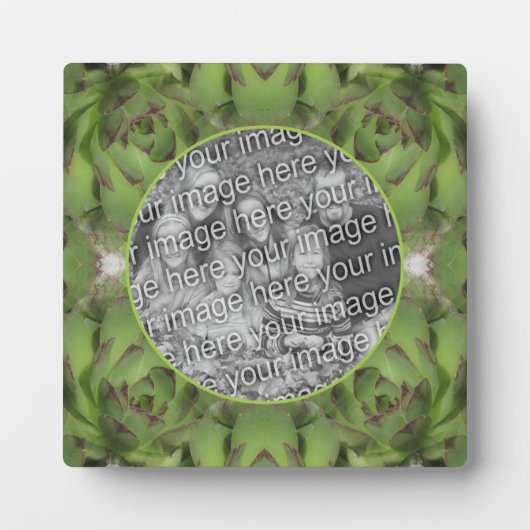 多肉鶏と雛があなたの写真を追加 フォトプラーク (正面)