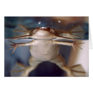 多脚カードの幽霊