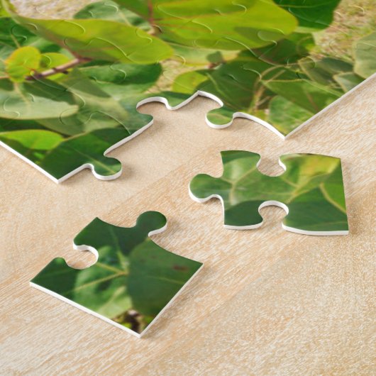 多色のな木製のコテージ|長い湾のビーチ ジグソーパズル (側面)