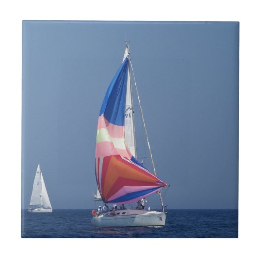 多色のなSpinnaker タイル (正面)