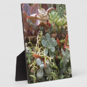 多色のハクトウ フォトプラーク (側面)