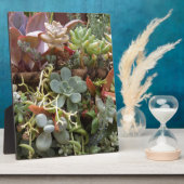 多色のハクトウ フォトプラーク (側面)