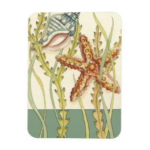 多色刷りの貝のパーティー マグネット