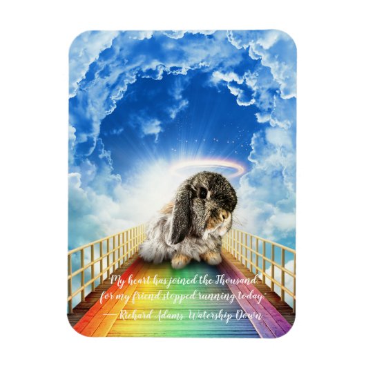 多色磁石のブリッジ マグネット (縦)