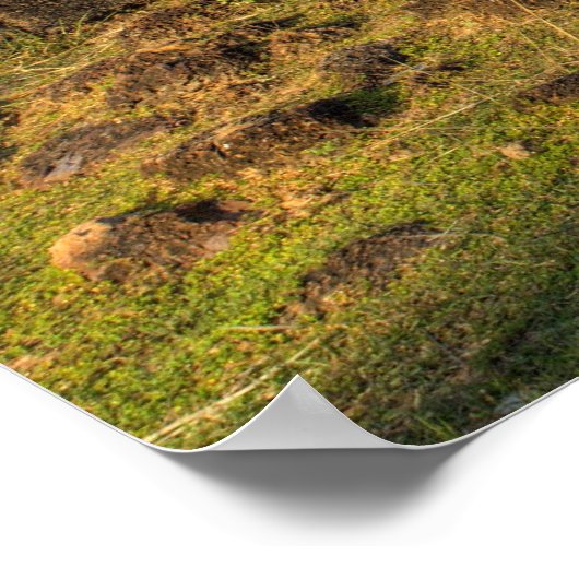 多花王寺 ポスター (角)