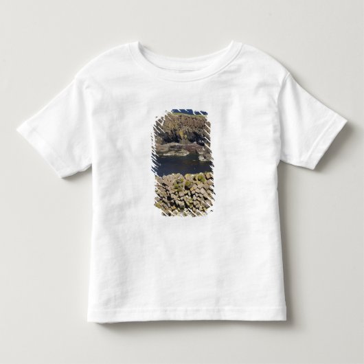 多角形玄武岩、スタッファ島、ムル島沖、 トドラーTシャツ (正面)