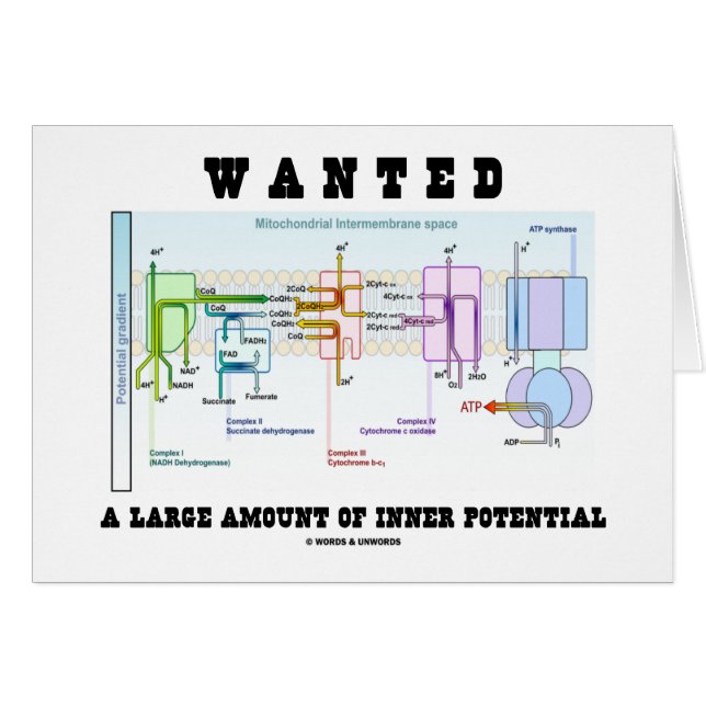 多量の内部の潜在性がほしいと思いました (正面横)