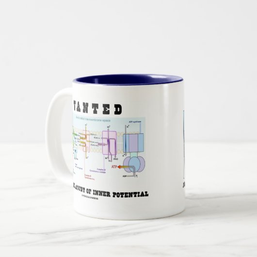 多量の内部の潜在性がほしいと思いました ツートーンマグカップ (正面左)