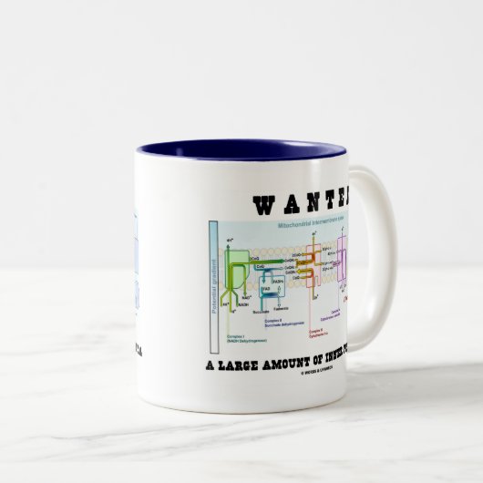 多量の内部の潜在性がほしいと思いました ツートーンマグカップ (正面右)