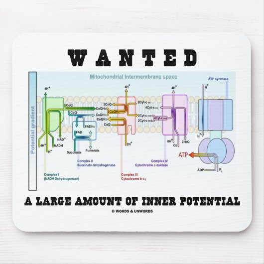 多量の内部の潜在性がほしいと思いました マウスパッド (正面)