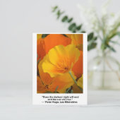 夜が終わる、ヴィクトル・ウゴ引用文、ポピーたち ポストカード (スタンド正面)