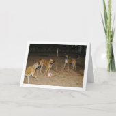 夜にサッカーを楽しむ犬たち カード (正面)