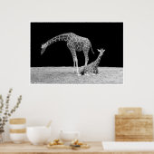 夜のアフリカの空の下のギラフ白黒 ポスター (キッチン)