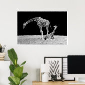 夜のアフリカの空の下のギラフ白黒 ポスター (ホームオフィス)