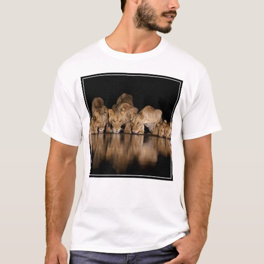 夜のウォーターホールで飲むライオンのプライド Tシャツ (正面)