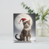 夜のクリスマス猫 ポストカード (スタンド正面)