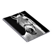 夜のクローズアップ黒白馬 ノートブック (右側)