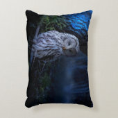 夜のスノーフクロウ アクセントクッション (正面(垂直))