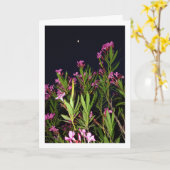 夜のピンクオレアンダー カード (黄色い花)