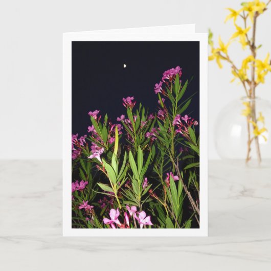 夜のピンクオレアンダー カード (黄色い花)