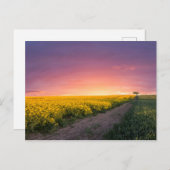 夜のピンク色の空 ポストカード (正面/裏面)