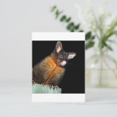 夜のポッサム ポストカード (スタンド正面)