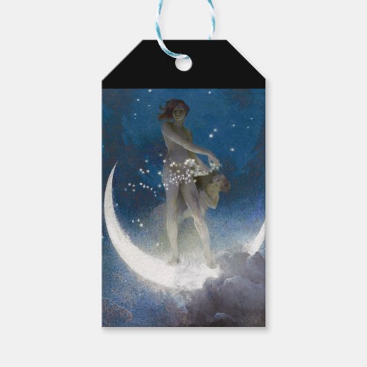 夜のルナの女神が星を散乱 ギフトタグ (正面)