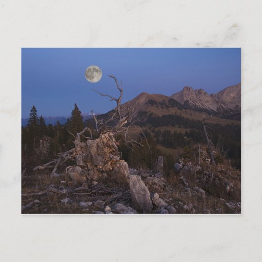 夜の主婦 ポストカード (正面)