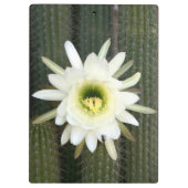 夜の女王サボテンの花 カルー地域 クリップボード (裏面)
