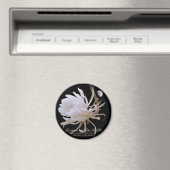 夜の女王マグネット マグネット (インサイチュ (食洗機))