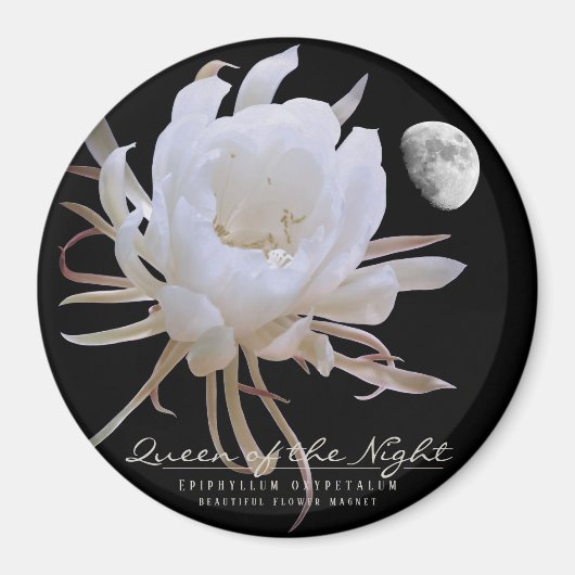 夜の女王マグネット マグネット (正面)