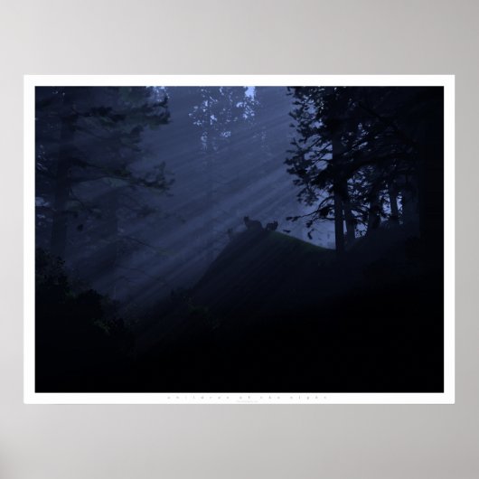 夜の子供 ポスター (正面)