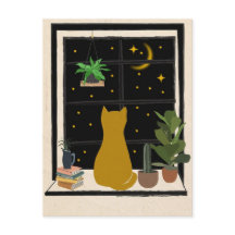 夜の子猫