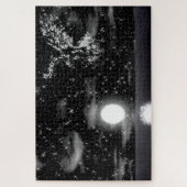 夜の星で作ったワシ ジグソーパズル (縦)