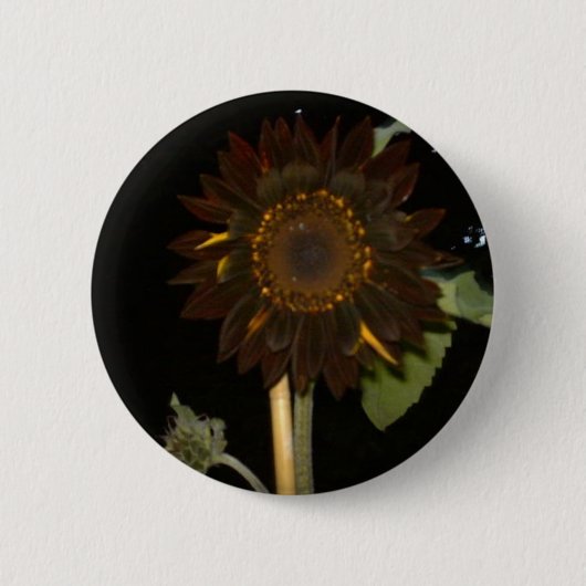 夜の暗いヒマワリ 缶バッジ (正面)