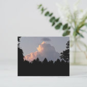 夜の木々の後ろの美しい雲 ポストカード (スタンド正面)