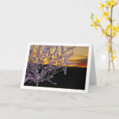 夜の杏の木 カード (黄色い花)