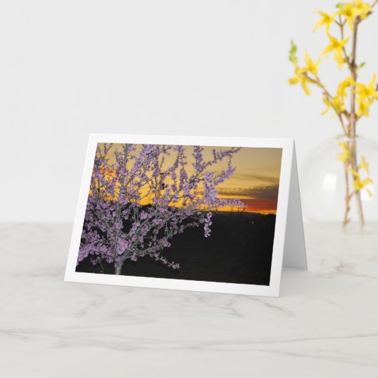 夜の杏の木 カード (黄色い花)