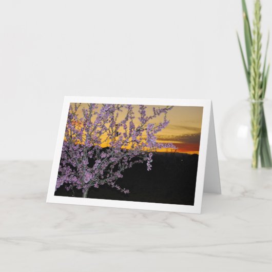 夜の杏の木 カード (正面)