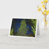 夜の松の木 カード (黄色い花)