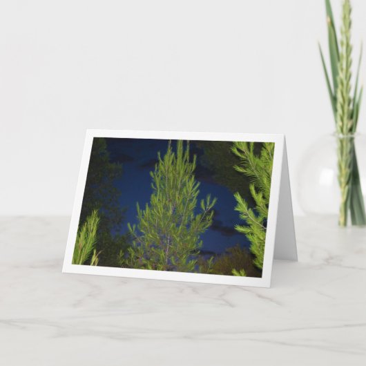 夜の松の木 カード (正面)