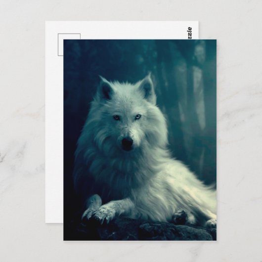 夜の森の中の白い狼 ポストカード (正面/裏面)