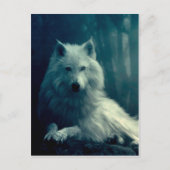 夜の森の中の白い狼 ポストカード (正面)