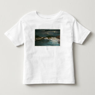 夜の滝の北橋概観 トドラーTシャツ