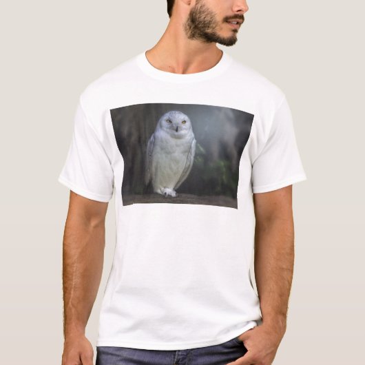 夜の白いフクロウ Tシャツ (正面)