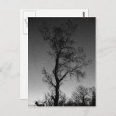 夜の白と黒の木 ポストカード (正面/裏面)