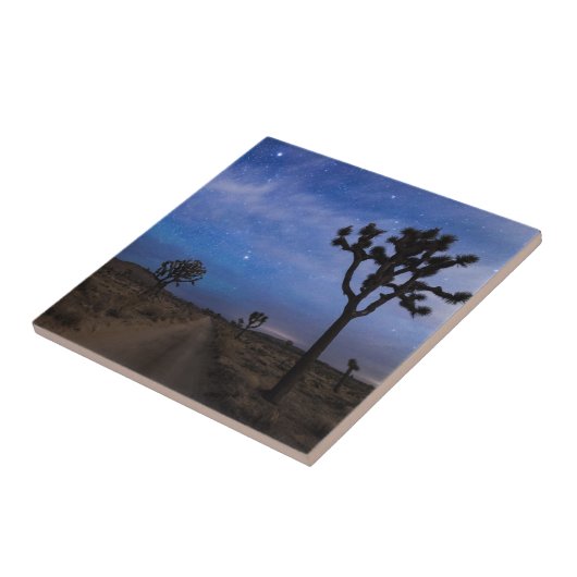 夜の砂漠の道およびジョシュアツリー タイル (側面)