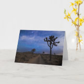 夜の砂漠の道とジョシュアの木々 カード (黄色い花)