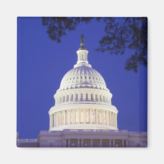 夜の米国議会議事堂ロタンダ、ワシントンD.C. マグネット (正面)